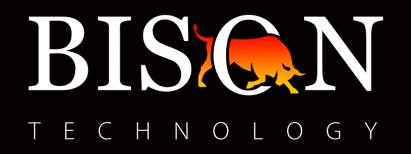 Bison Technology Pte. Limited company logo