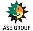 Ase Singapore Pte. Ltd. logo