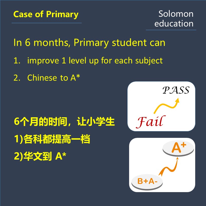 Solomon Education Pte. Ltd. logo