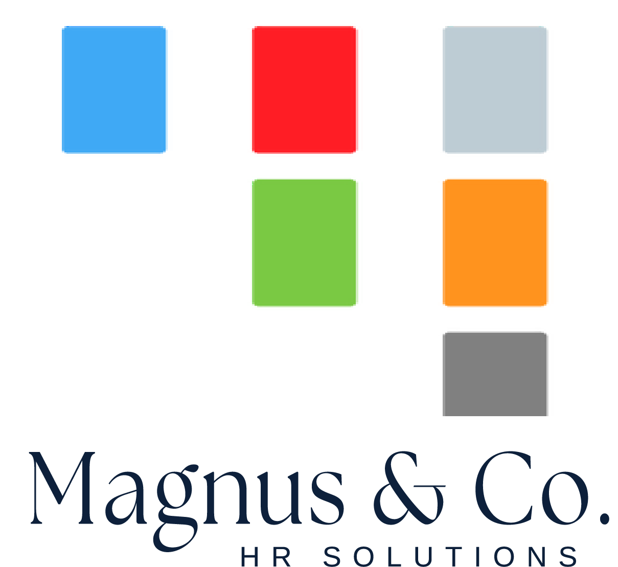 MAGNUS & CO. PRIVATE LIMITED