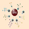 Brk Pte. Ltd. logo