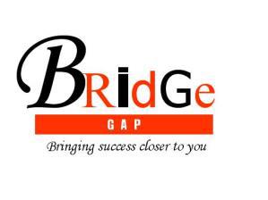 Bridge Gap Services Pte. Ltd. logo