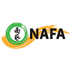 Nanyang Academy Of Fine Arts logo
