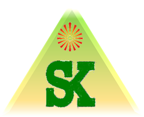 Sk Audit Associates logo