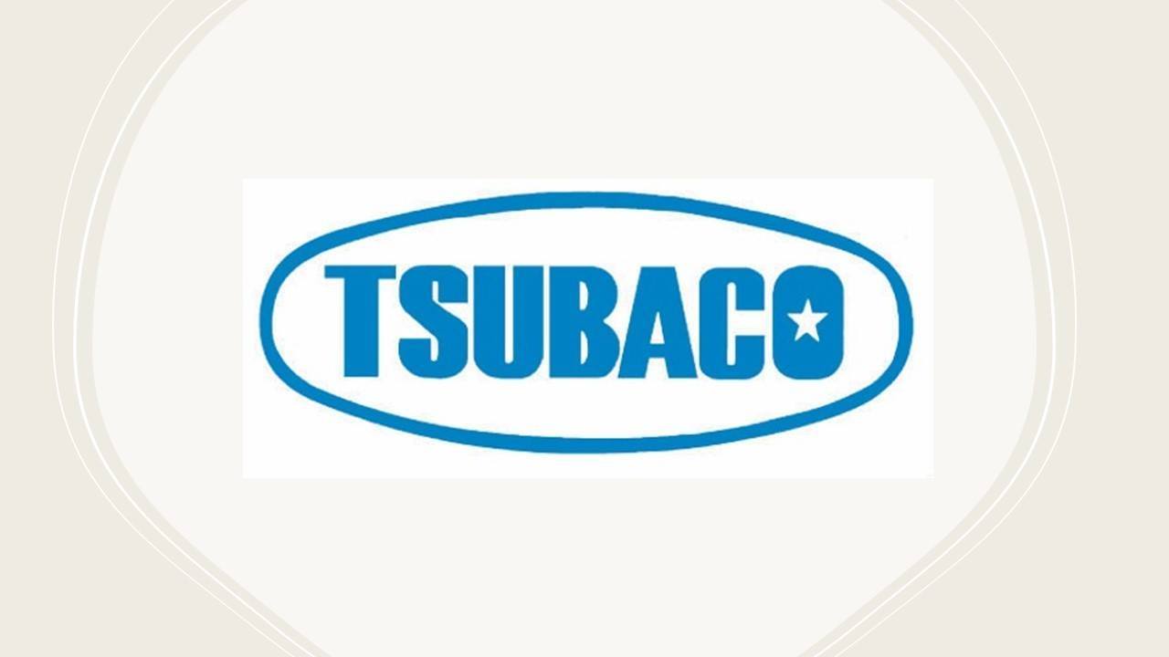 Tsubaco Singapore Pte Ltd logo