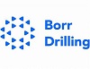 Borr Eastern Peninsula Pte. Ltd. logo