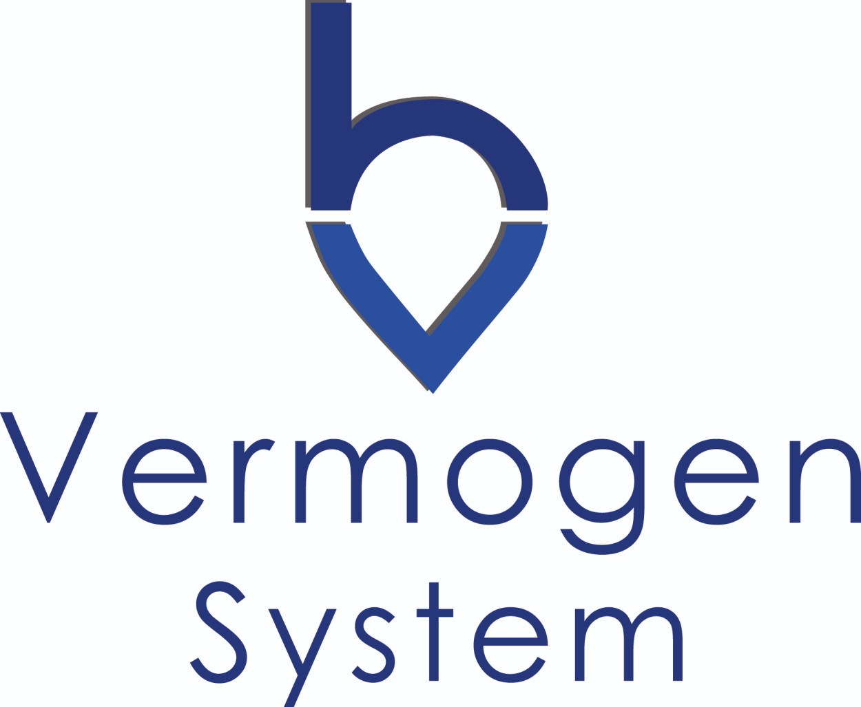 Vermogen System company logo