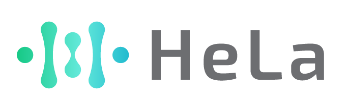 Hela Labs Pte. Ltd. logo