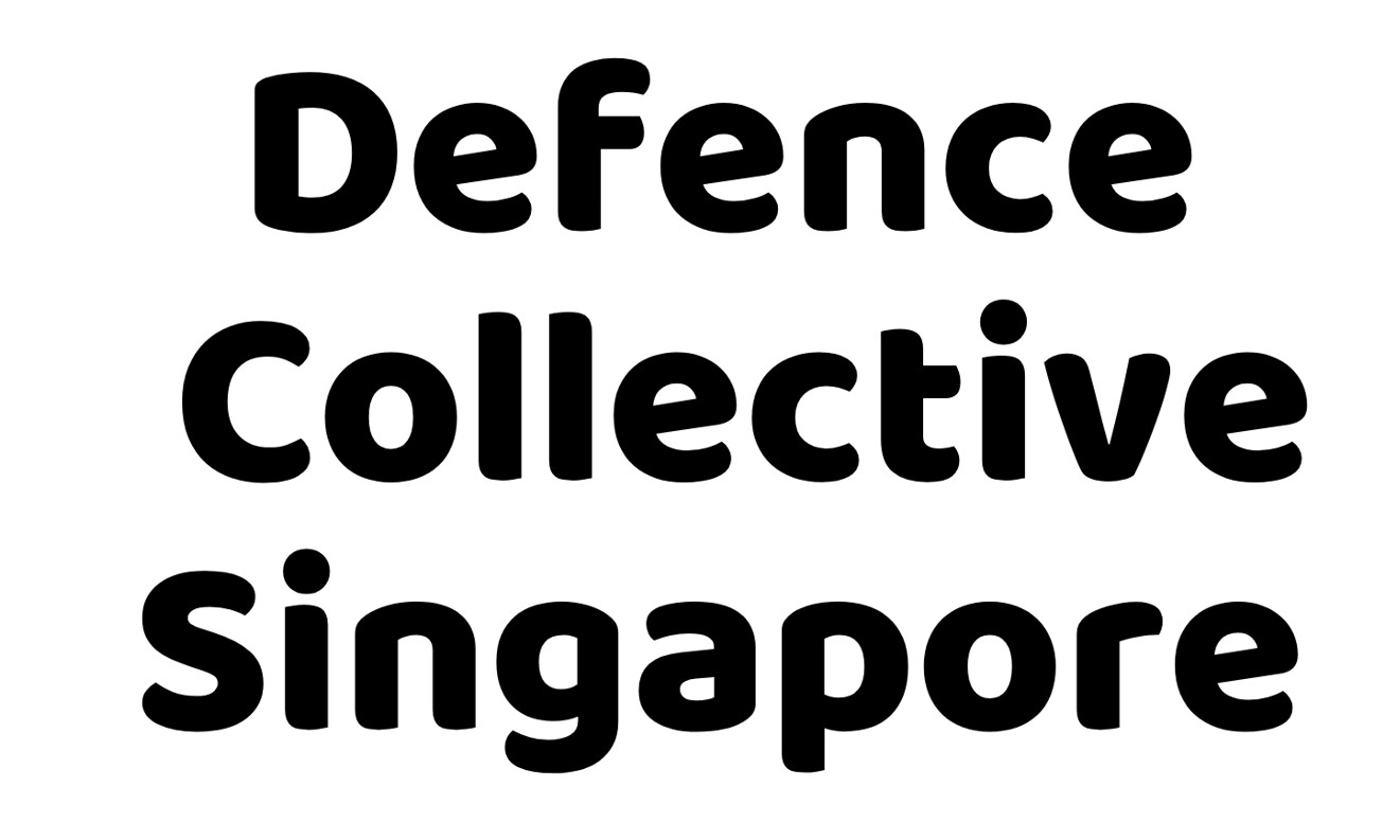 Defence Collective Singapore Ltd. company logo