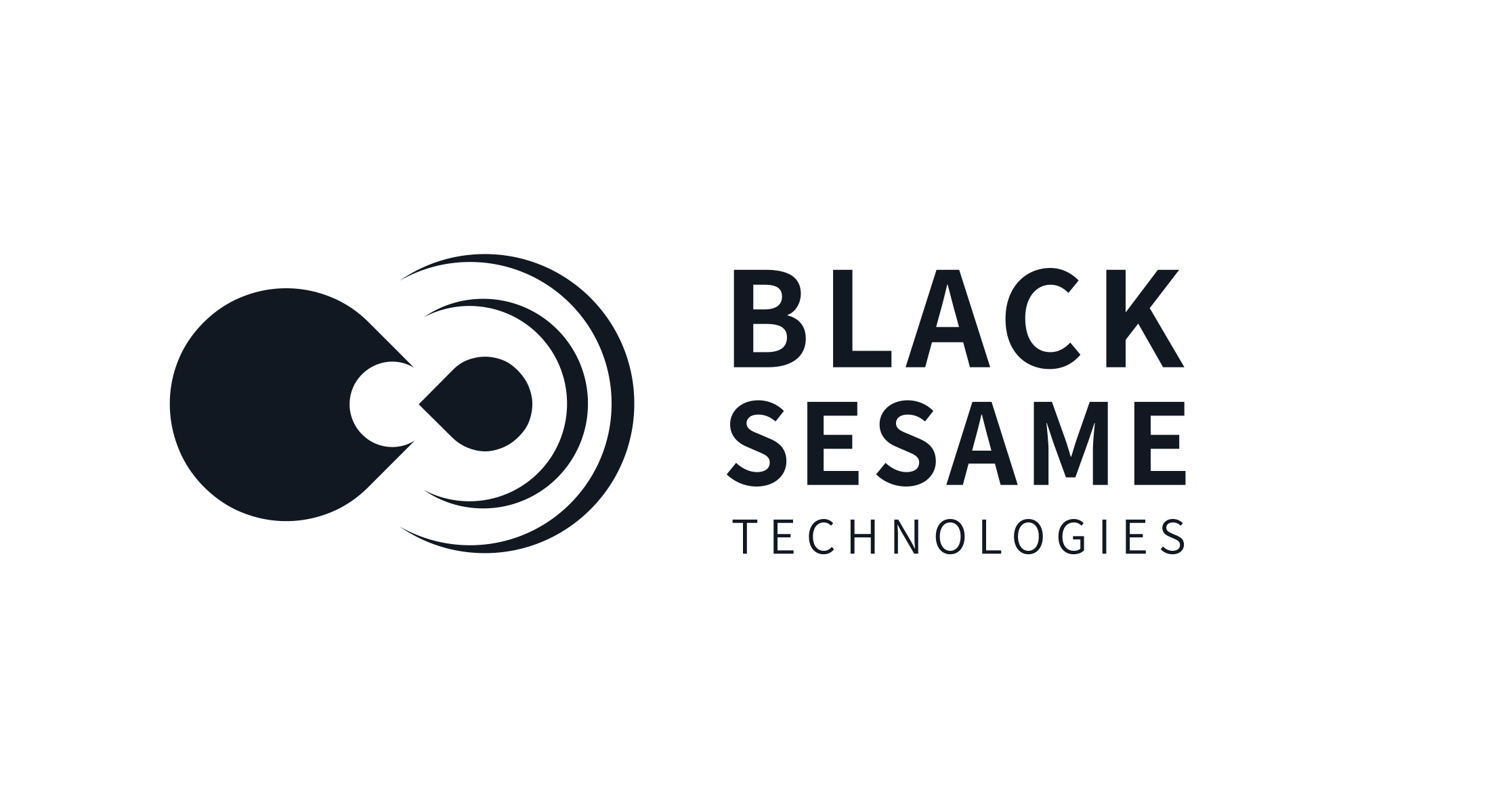 Black Sesame Technologies (singapore) Pte. Ltd. logo