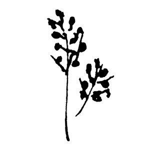 Charlotte Puxley Flowers Pte. Ltd. logo