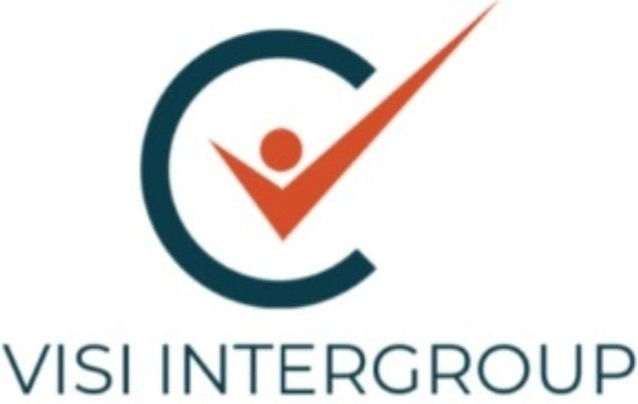 Visi Intergroup Pte. Ltd. company logo