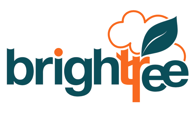 Brightree Pte. Ltd. logo