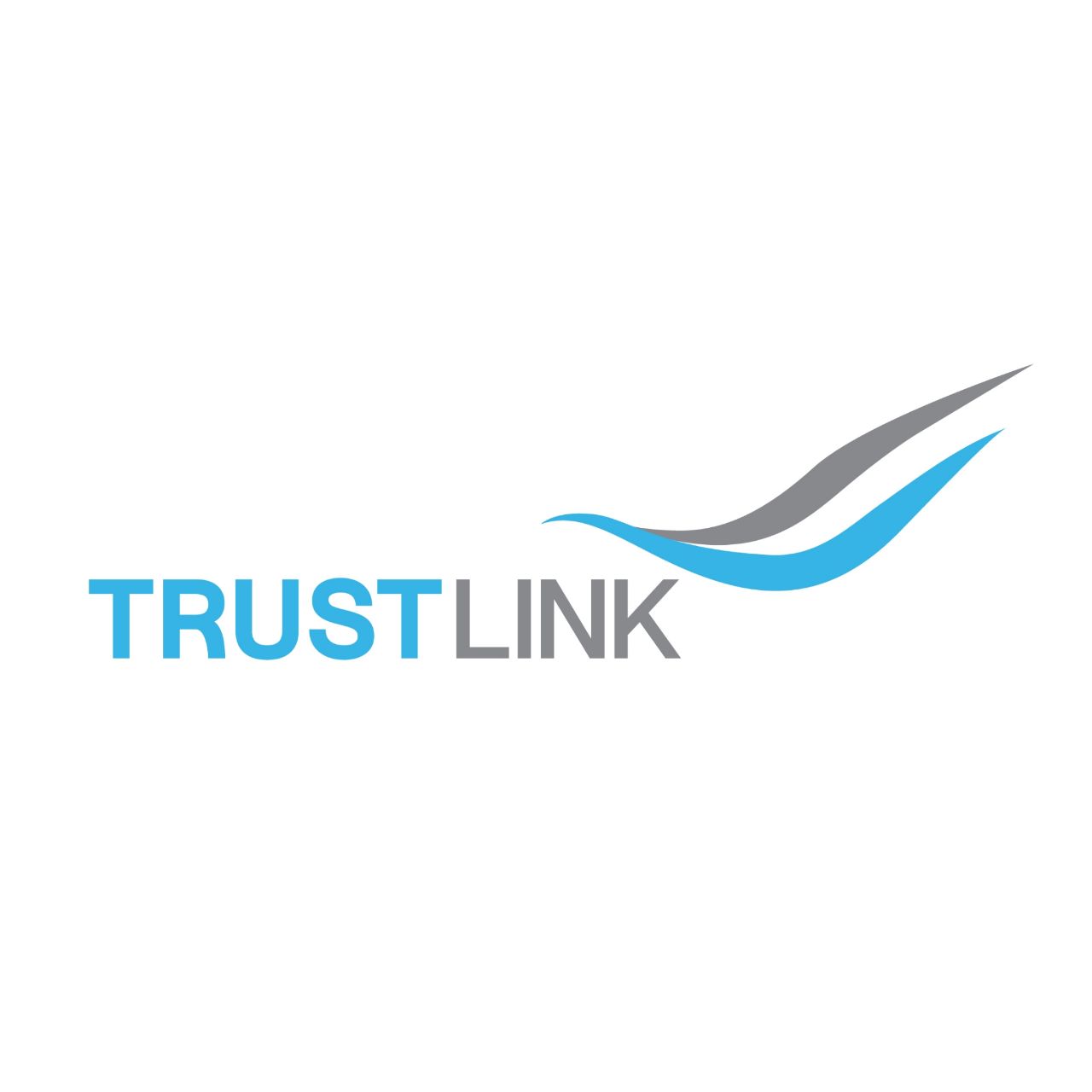 Trust-link Logistics Pte. Ltd. logo