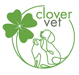 Clover Vet Pte. Ltd. logo