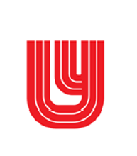Lee Yin Apparel International Pte. Ltd. logo