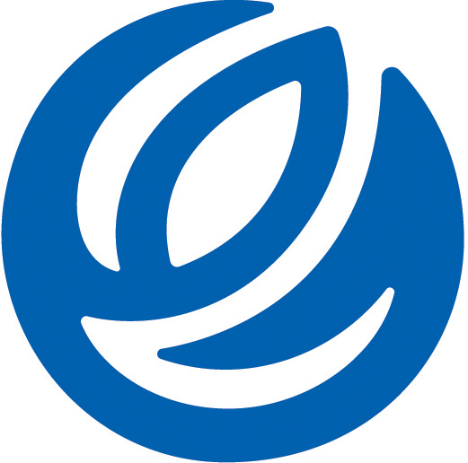 Liron Technology Pte. Ltd. logo