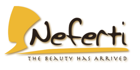 Neferti Pte. Ltd. company logo