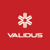 Validus Investment Holdings Pte. Ltd. logo