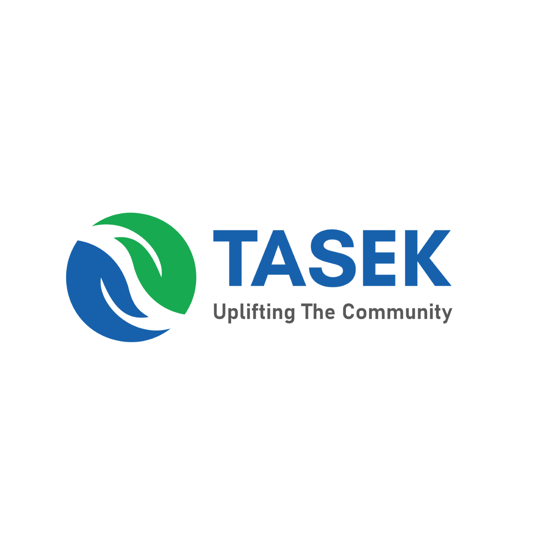Tasek Academy And Social Services Limited logo