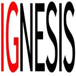 Ignesis Engineering Pte. Ltd. logo