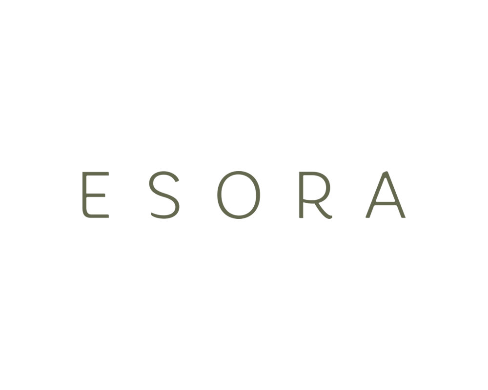 Esora Pte. Ltd. company logo