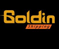Goldin Shipping Pte Ltd logo