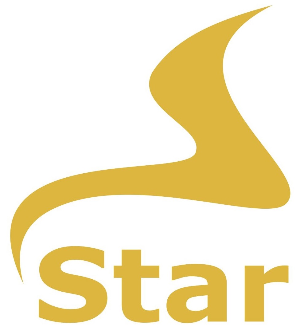 Star Engineering Pte. Ltd. logo