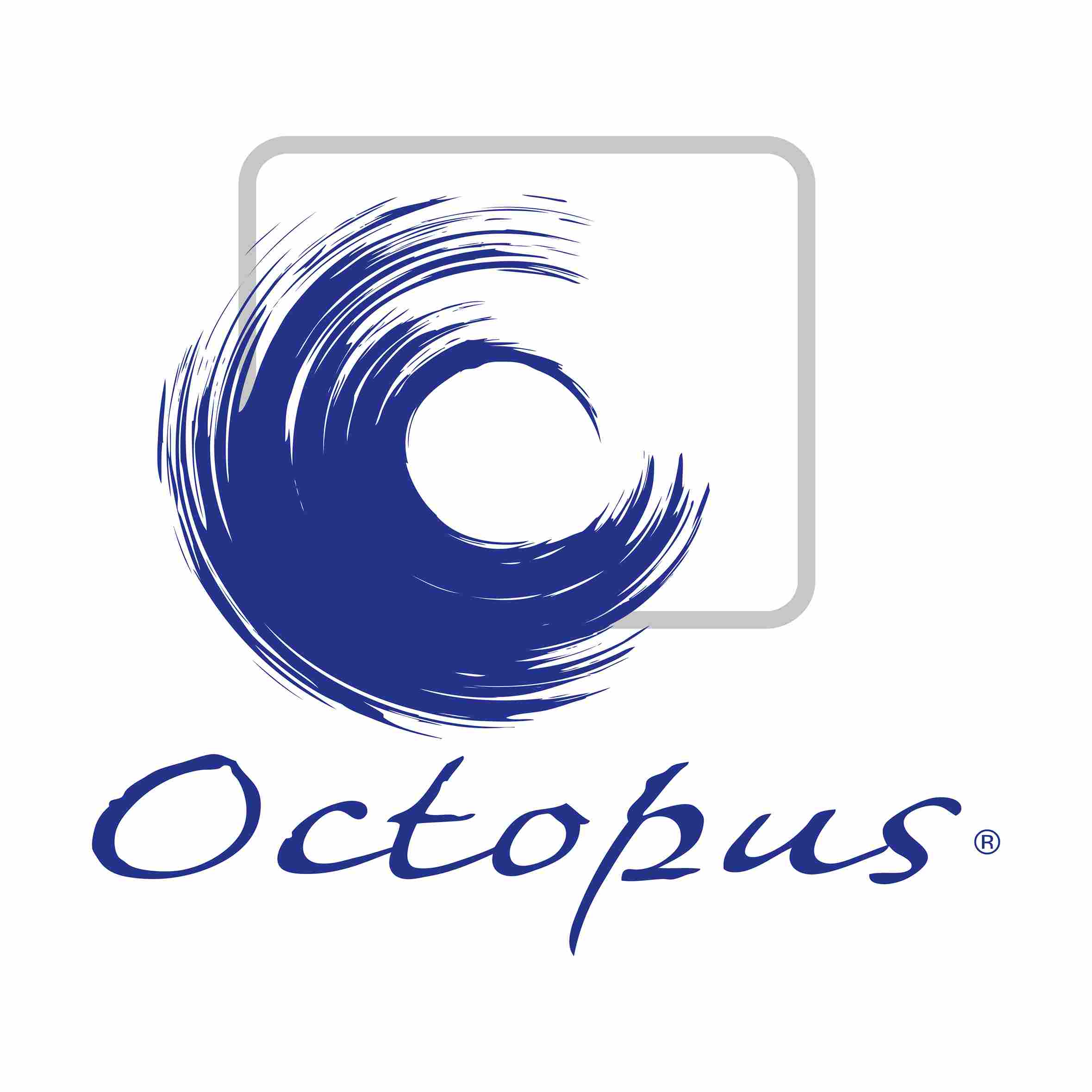 Octopus Distribution Networks Pte. Ltd. company logo