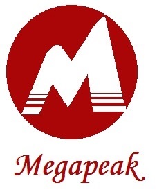 Company logo for Megapeak Enterprise Private Limited