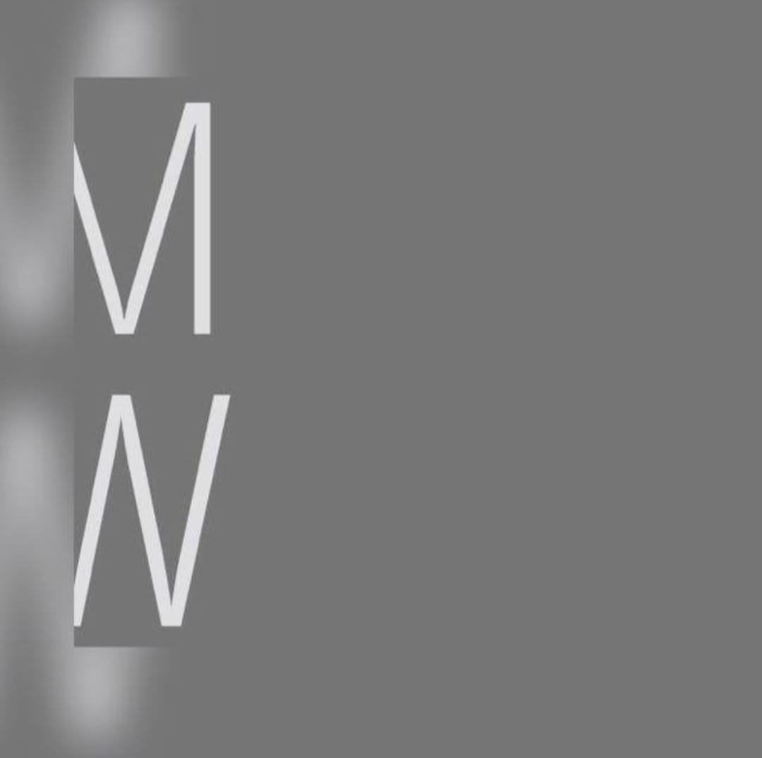 Mesh Werk Studio Pte. Ltd. logo