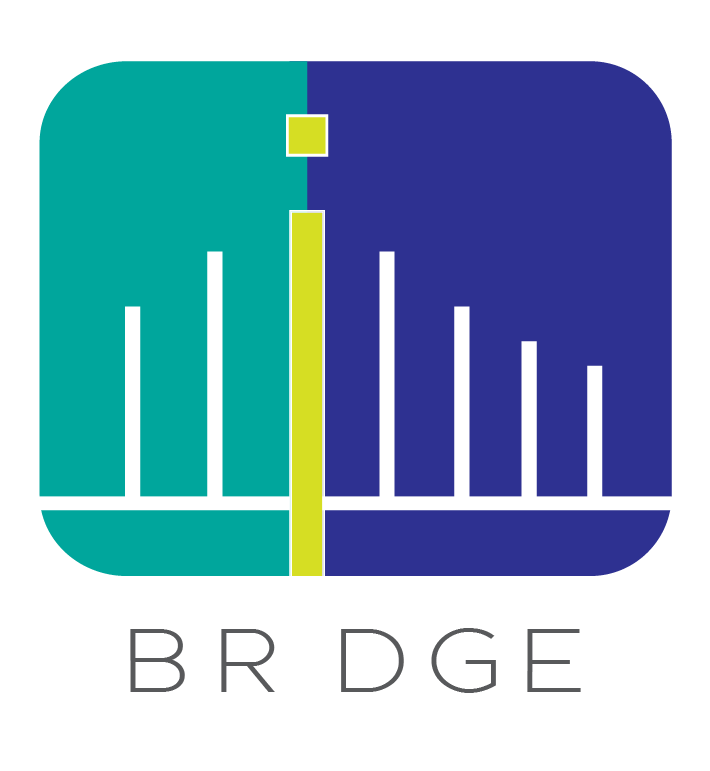 Brdge Technology Pte. Ltd. logo