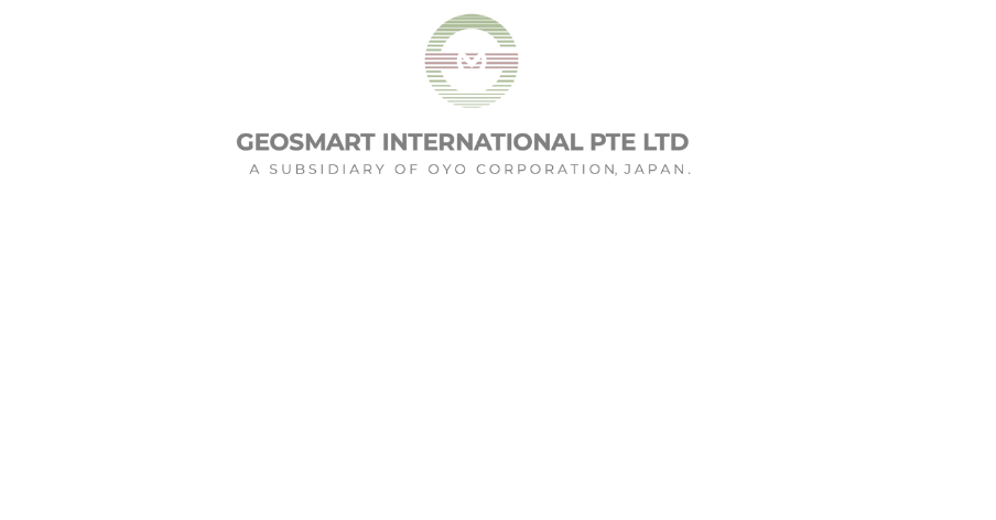 Geosmart International Pte. Ltd. company logo