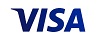 Visa Worldwide Pte. Limited logo