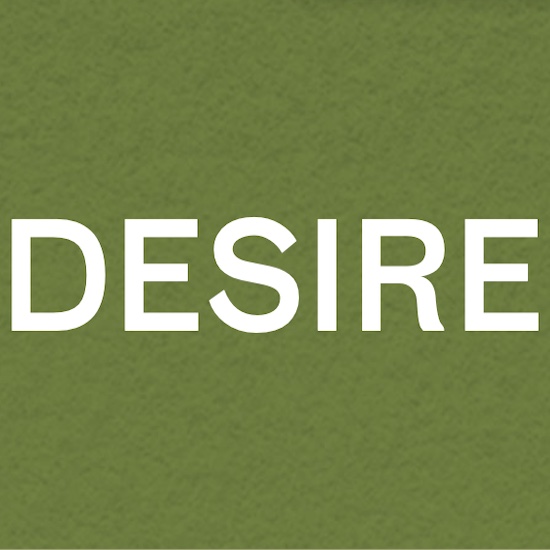 Desire Lines Pte. Ltd. logo