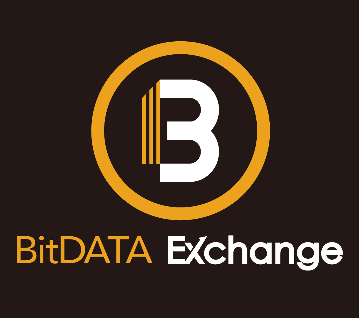 Bitdata Digital Tech Pte. Ltd. logo