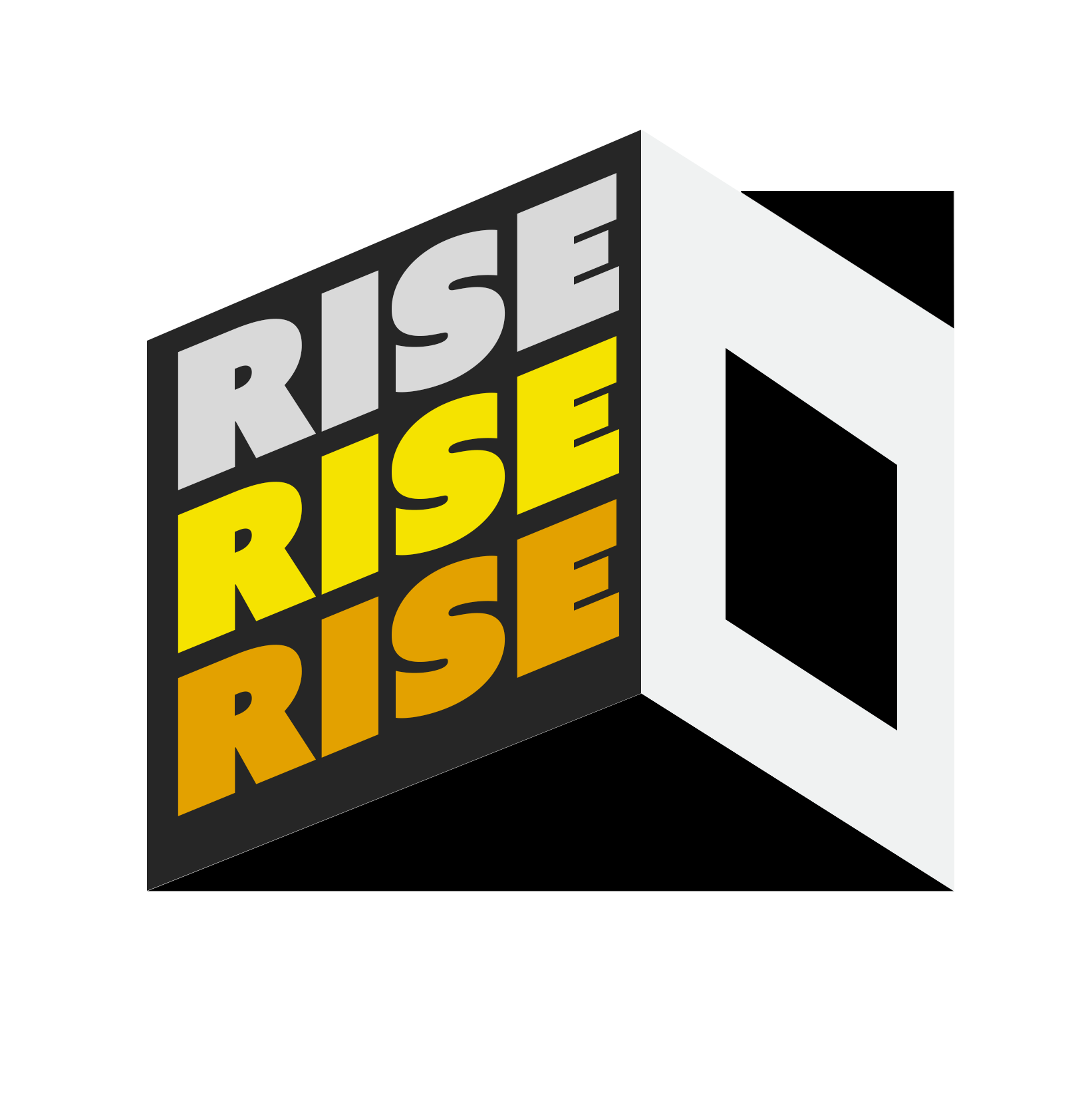 Rise Consultants Pte. Ltd. logo