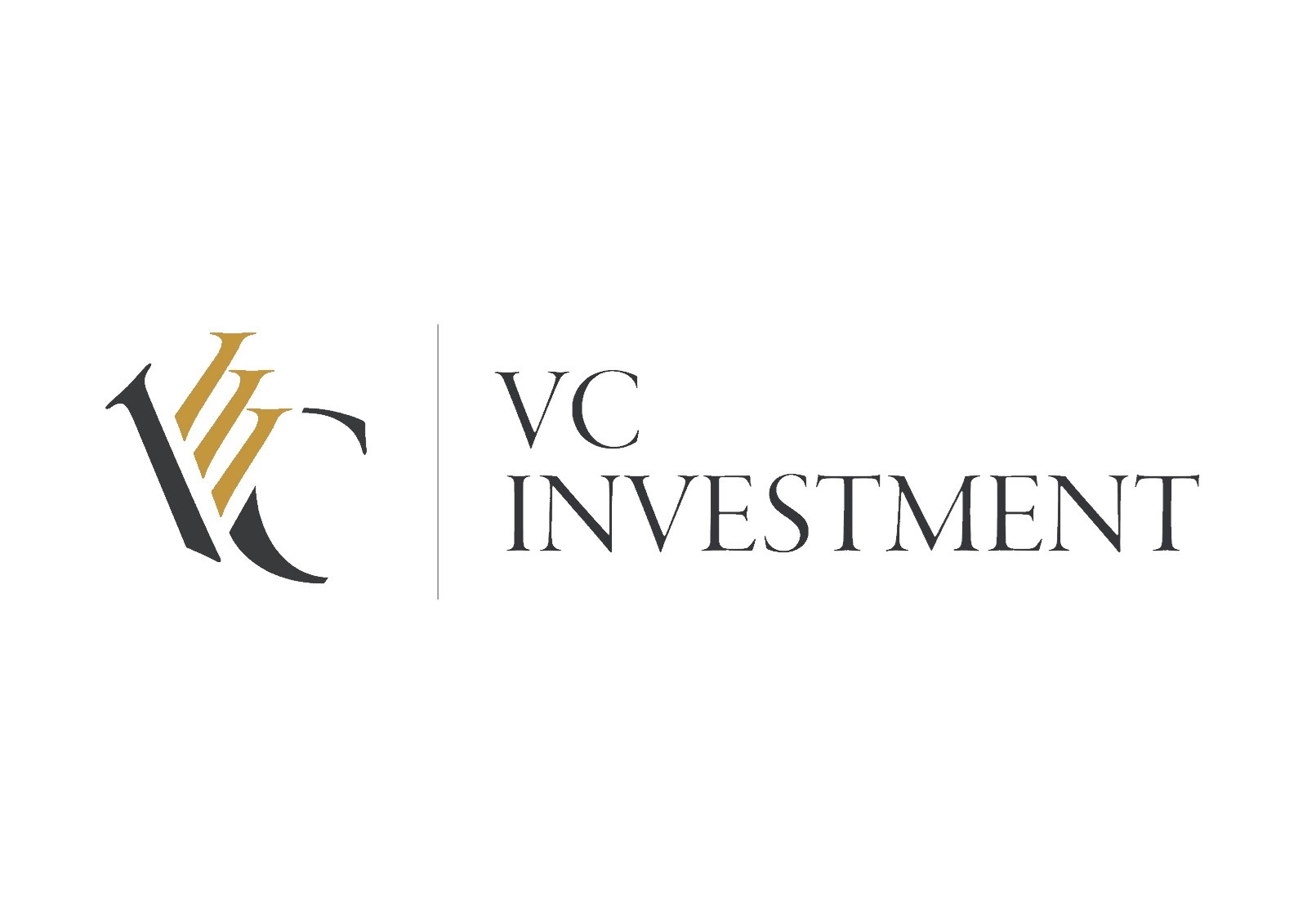 Vc Investment Pte. Ltd. logo