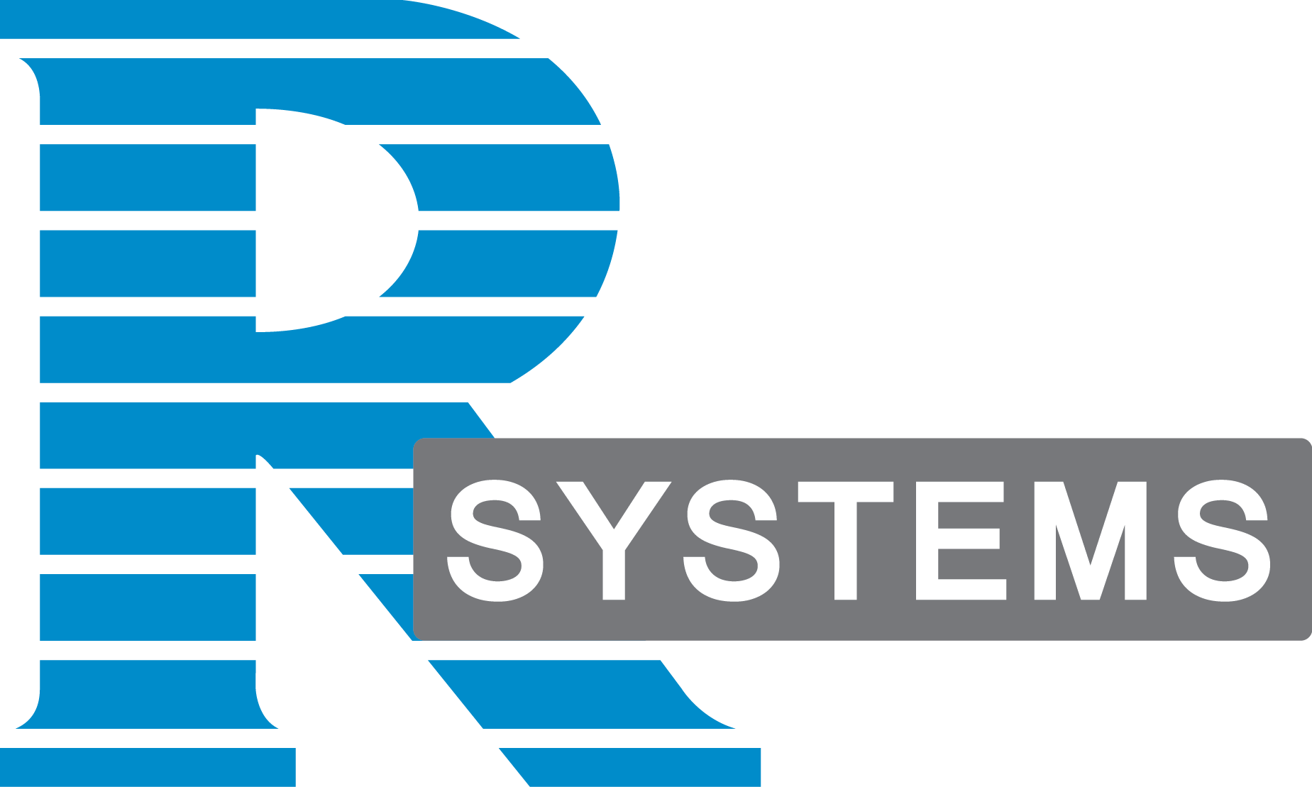 R Systems Ibizcs Pte. Ltd. company logo