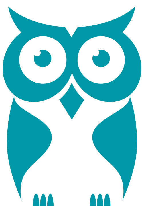 Cyberowl Pte. Ltd. logo