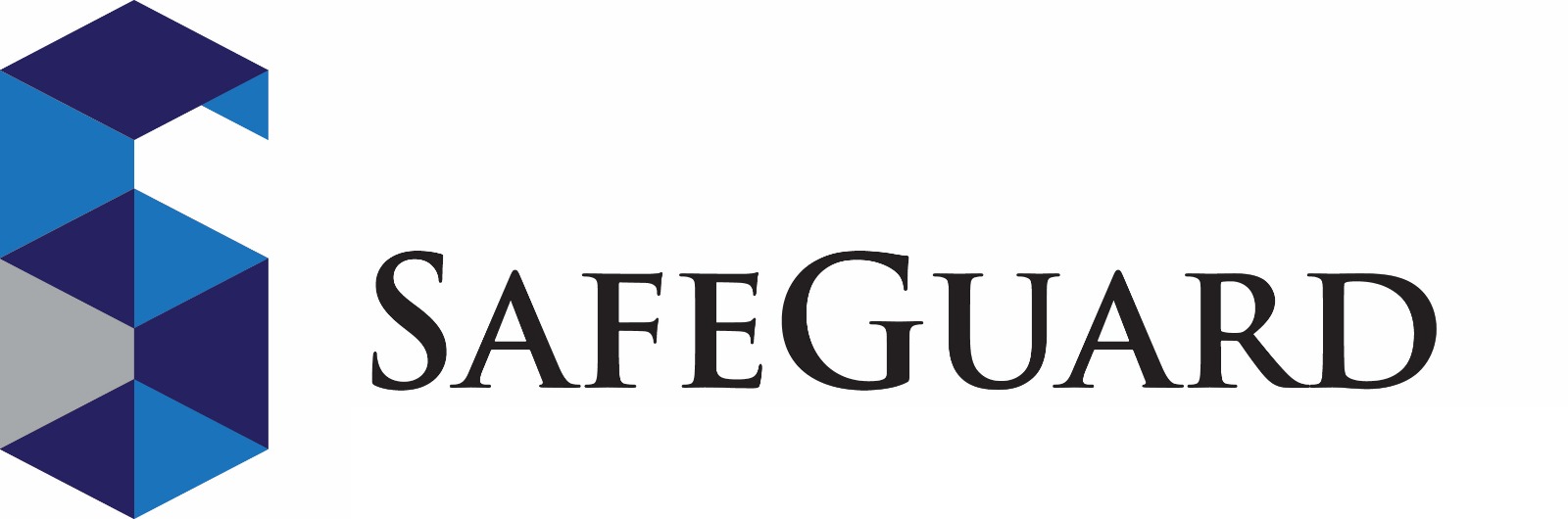 Safere Management Private Limited logo