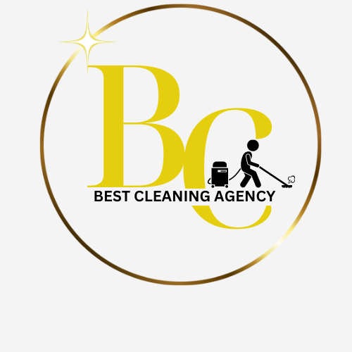 Best Cleaning Agency company logo