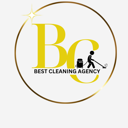 Best Cleaning Agency logo