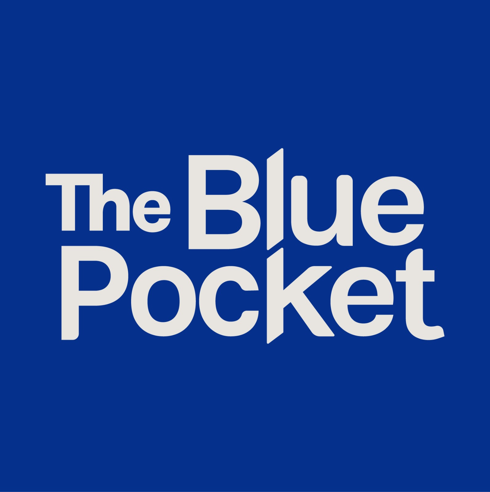 The Blue Pocket Services Pte. Ltd. logo