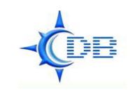 Direct Builders Pte. Ltd. company logo
