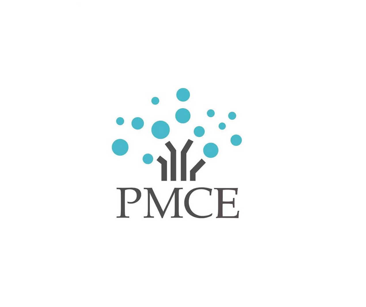 Pmce (global) Pte. Ltd. logo