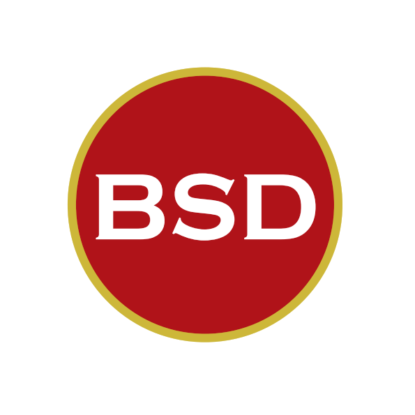 Bsd Private Limited logo