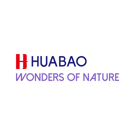 Huabao Asia Pacific Pte. Ltd. logo