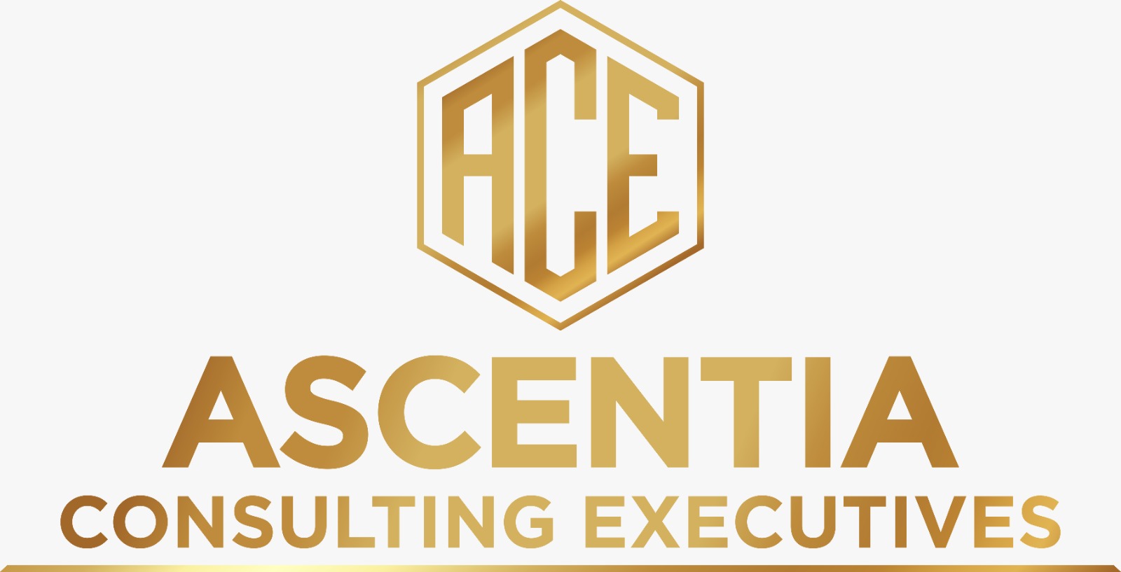 Ace Ascentia Pte. Ltd. logo