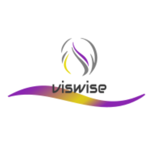 Viswise Corporation Pte. Ltd. logo